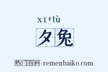 夕兔是什么意思的图片